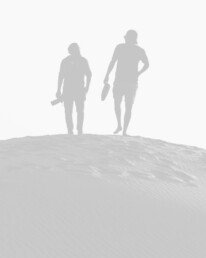 Designer Layout demo media 1809945221